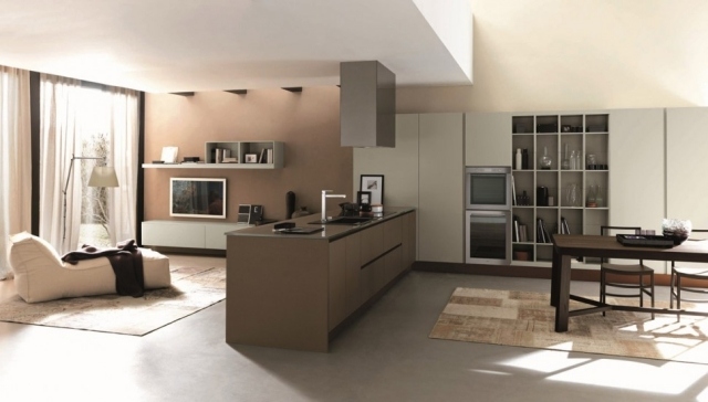 bucătărie de design open space cu element de separare a insulelor sistem de rafturi în dulapuri încorporate