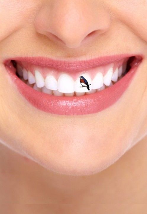 tatouage d'oiseau sur les dents