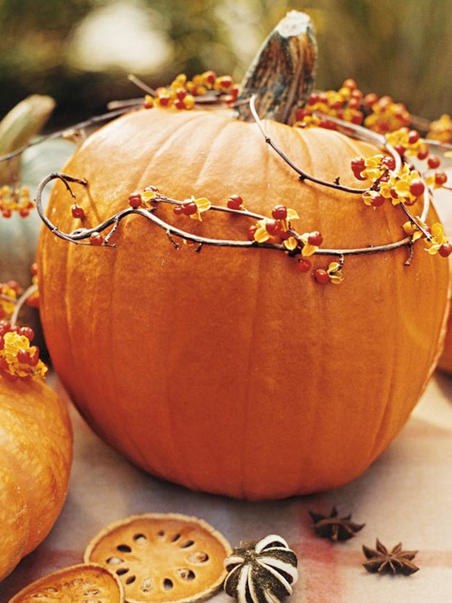 Dovleacul decorează designul grădinii decora idei de amenajare a grădinii