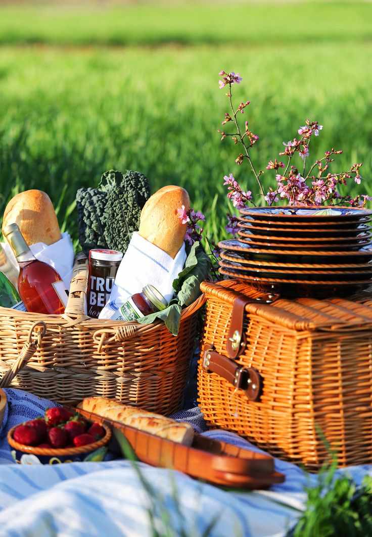 idei-picnic-listă de verificare-produse-set-coș-de-alimente