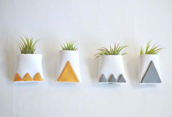 magneți idei de decorare containere tillandsien Idei de decor cu magneți pentru containere Tillandsia