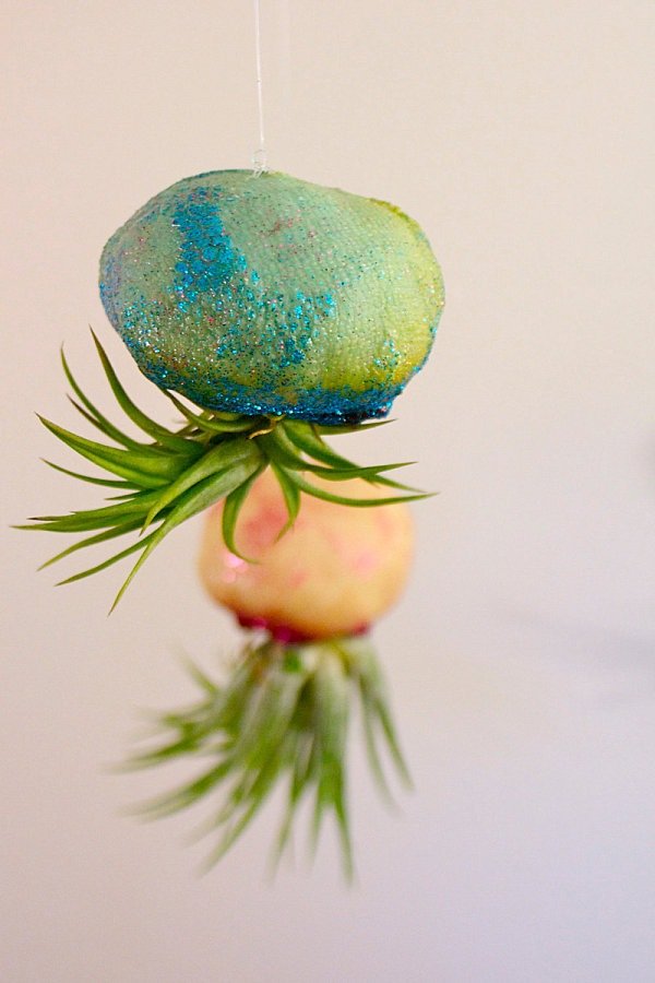 suspendat tillandsia container idei de decor sclipici suspendat tillandsia container decor sclipici