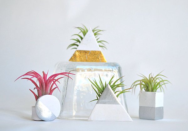 idei de decorare containere geometrice cu tillandsia alb argintiu containere geometrice tillandsia alb argintiu