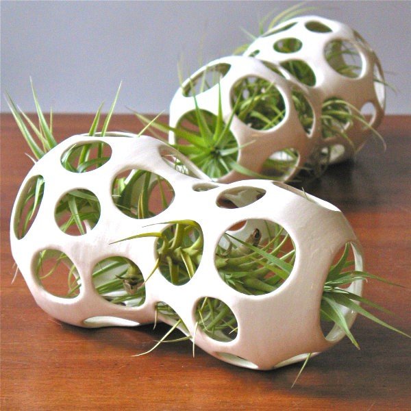 deco tillandsien container bile ceramice Idei de decor cu bile ceramice pentru containere Tillandsia