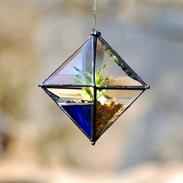 deco tillandsia plante fără rădăcini agățat pahar de pietriș deco tillandsien airplants agățat pahar de pietriș