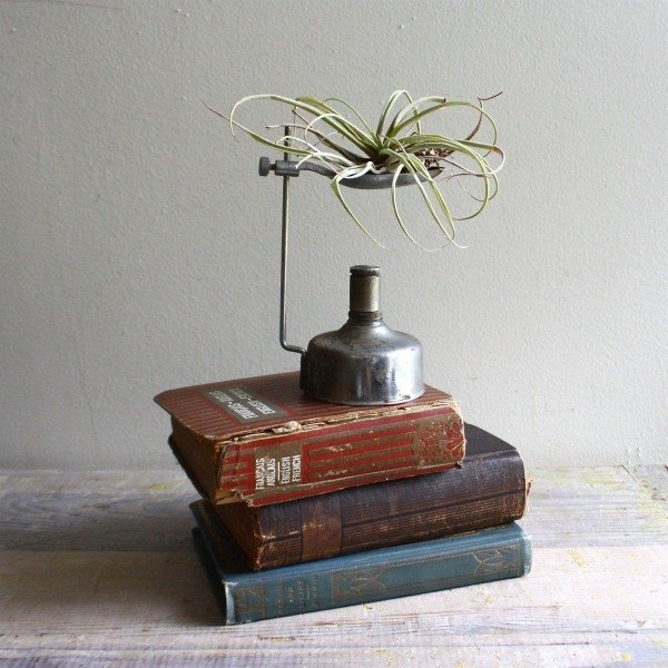 Decor cu arzătorul vintage de cărți vechi Tillandsia Idei de decorare cu arzătorul vintage al cărților vechi Tillandsia