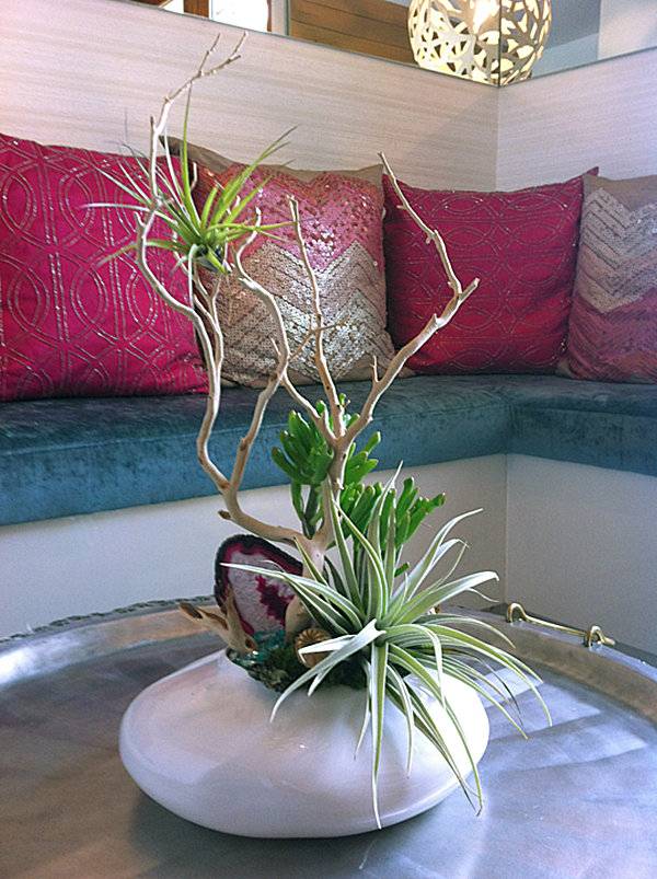aranjament vaza tillandsia living room table aranjament vaza creanga tillandsia living room table