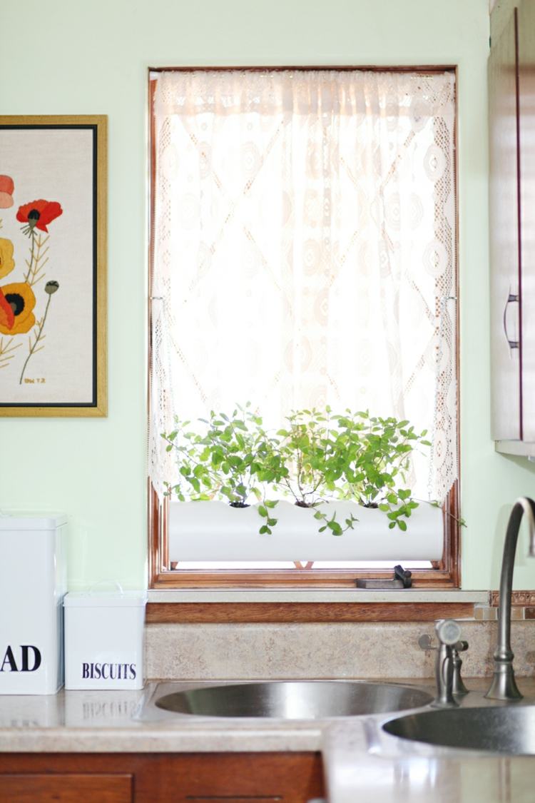 Decorarea bucătăriei cu funcție practică - un recipient pentru plante din PVC pentru condimente idei decor bucatarie ghiveci flori pvc pipa condimente plante