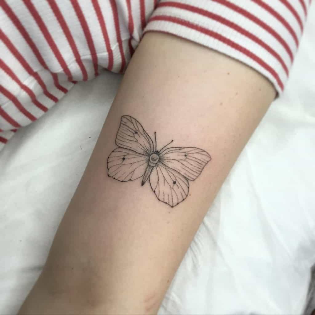 バタフライ-変身