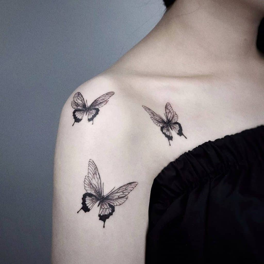 バタフライ-トランスフォーメーション2