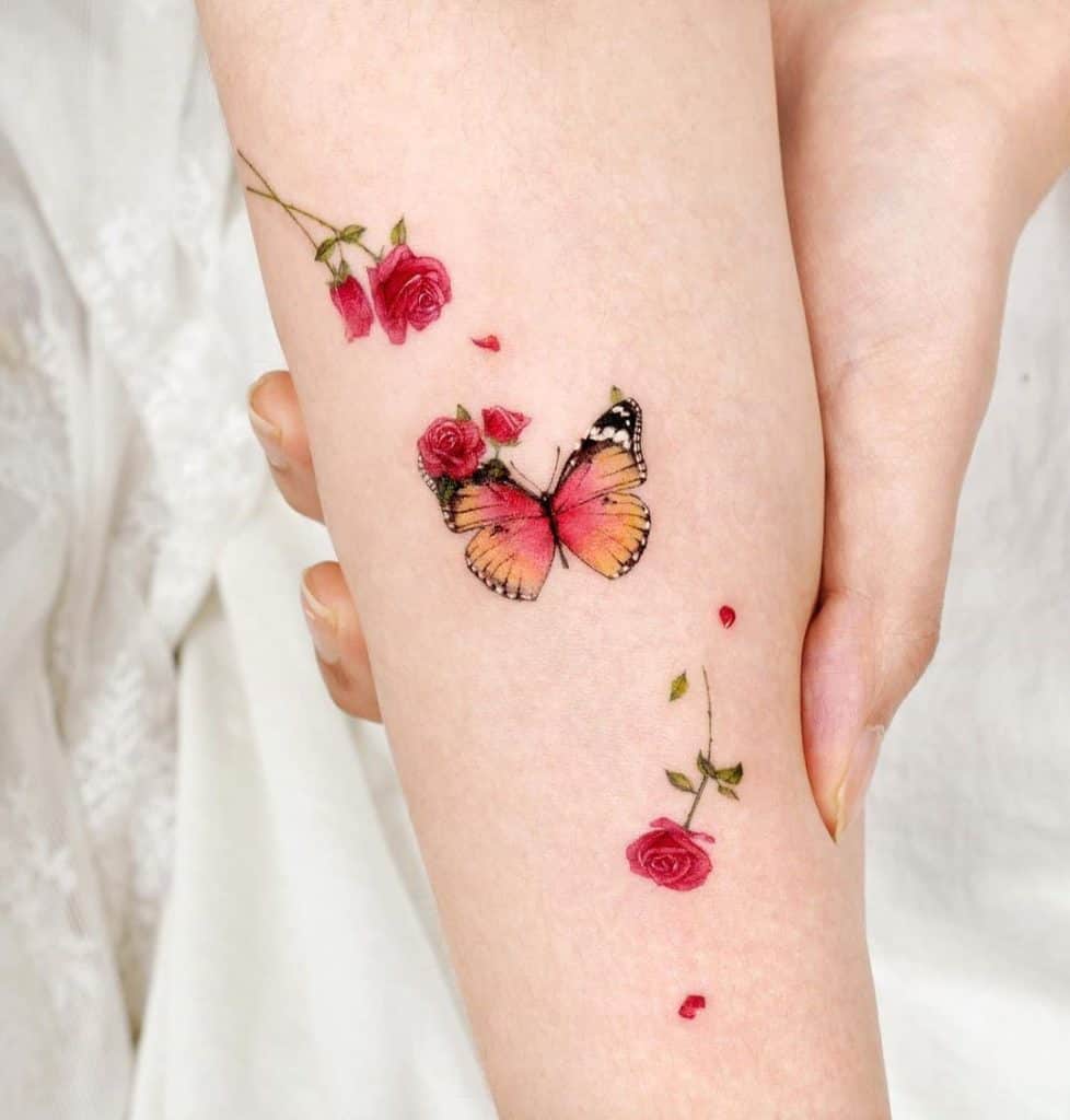 バタフライ-トランスフォーメーション3