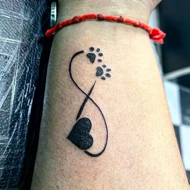 Pata de cachorro do sinal do infinito