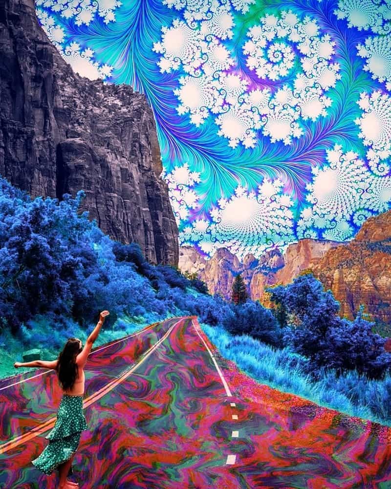 Kaj simbolizira tetovaža drevo življenja