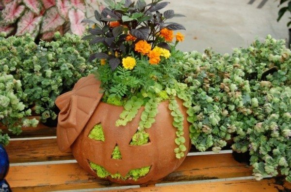 Ghiveci de plante de dovleac sculptează mușchi decor de masă de toamnă Planta ghiveci sculptează flori de mușchi