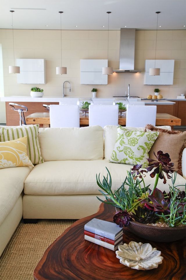 Plante interioare sufragerie bucătărie scaune grup lemn amenajare masă cameră de zi Decorarea plantelor interioare sufragerie bucătărie scaune grup lemn amenajarea mesei sufragerie