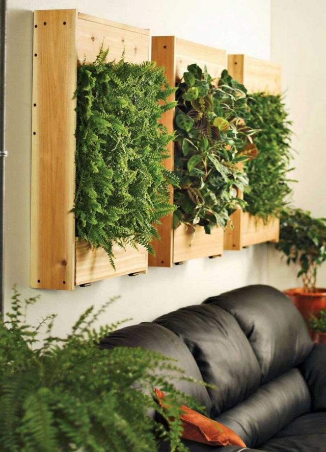 Plante de interior grădini verticale ferigi cutie din lemn canapea din piele Decorarea plantelor de interior grădini verticale ferigi cutie din lemn canapea din piele