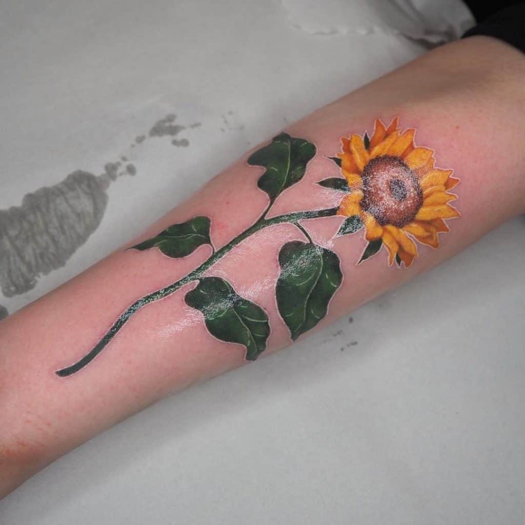 Veliki i svijetao suncokret