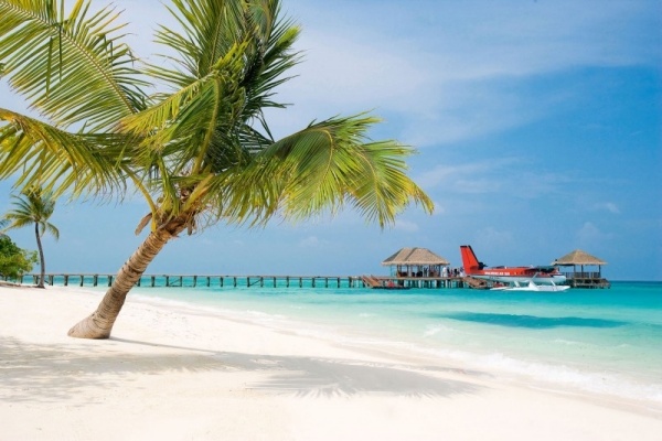 Hotel de lux de 5 stele Maldive plaje cu nisip fin palmieri Hotel de 5 stele Maldive plaje cu nisip fin palmieri