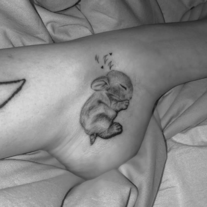 Kokiems gyvūnams nesiseka 2