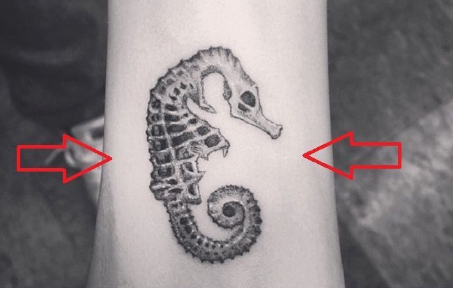 フランシスビーンコバーン