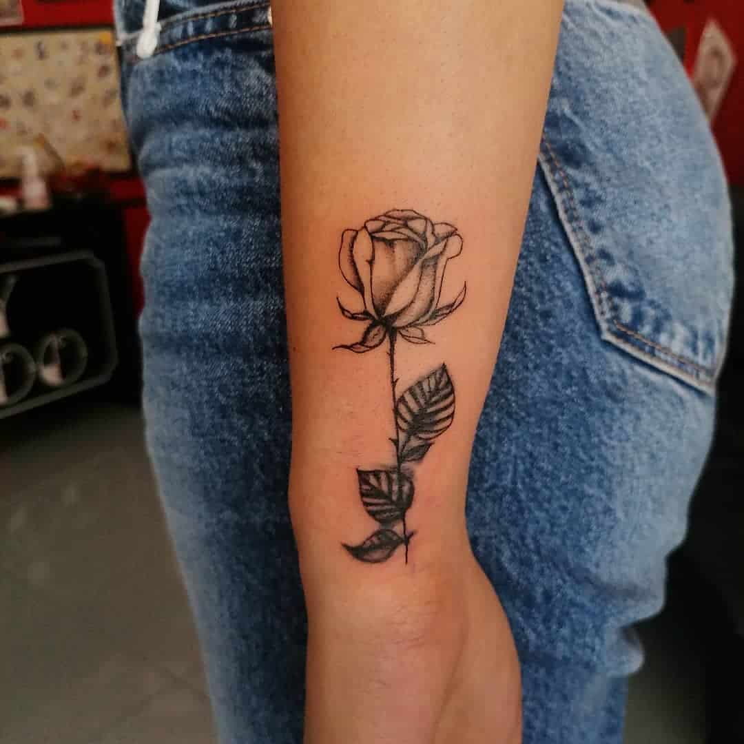 Gerai išdėstyti lapai