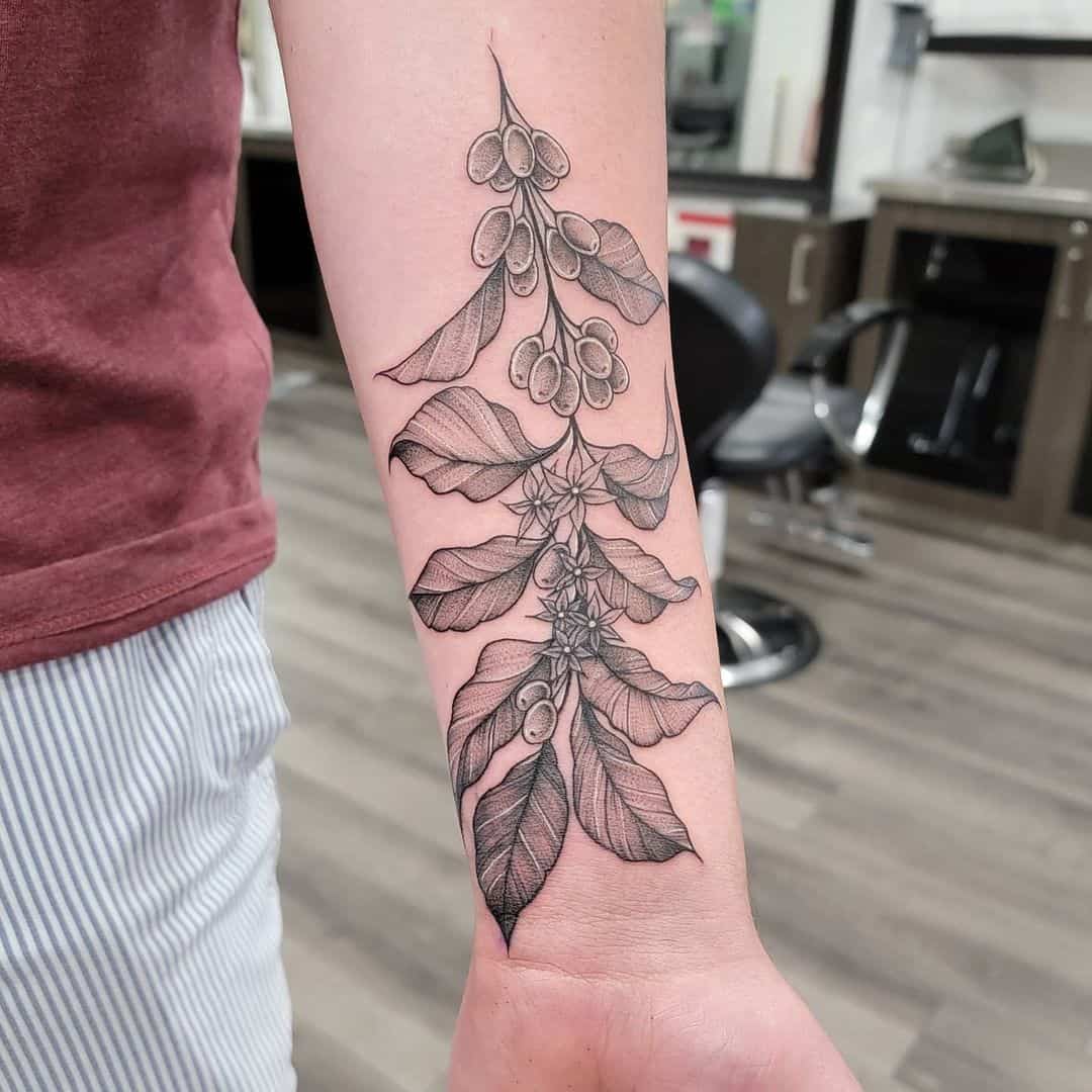 Išplėsta dilbio danga