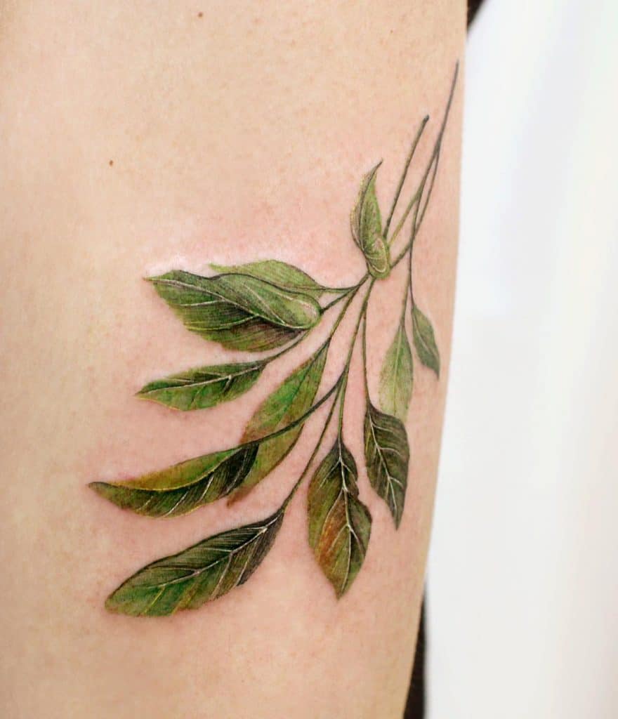 Quelles couleurs symbolisent la liberté 4