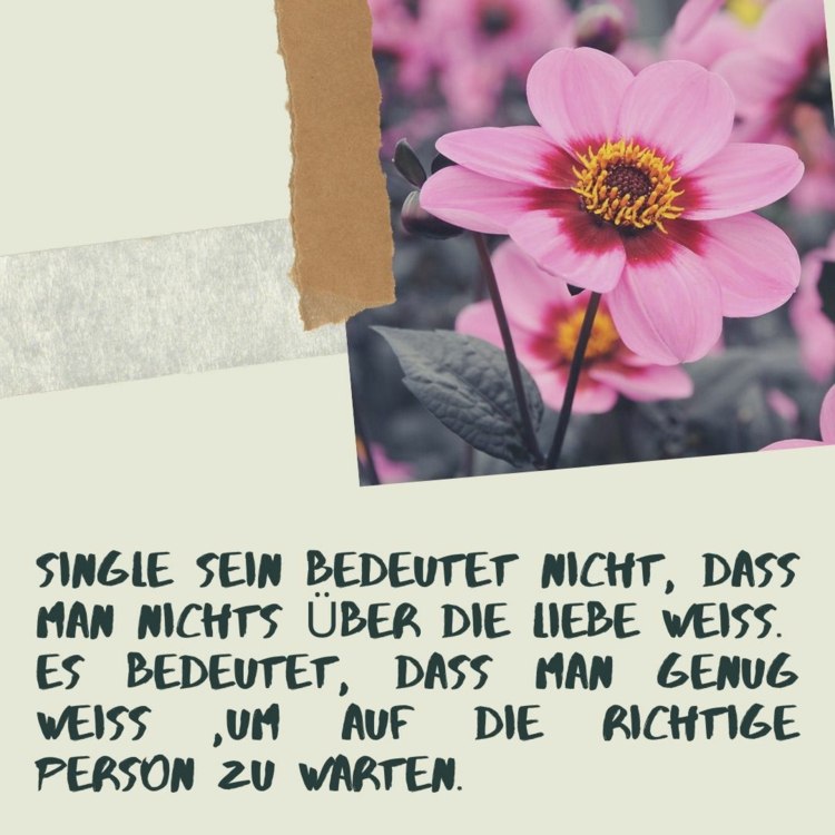 Zicând înțelept despre persoanele singure - știi suficient cât să aștepți persoana potrivită