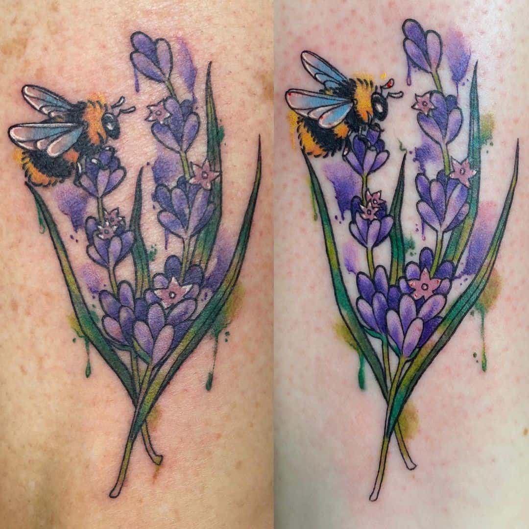 Lavanda em plena floração