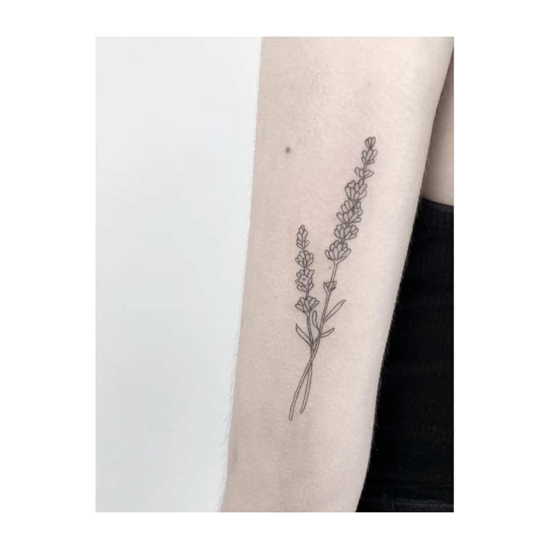 Dois Black Lavender tatuados no braço