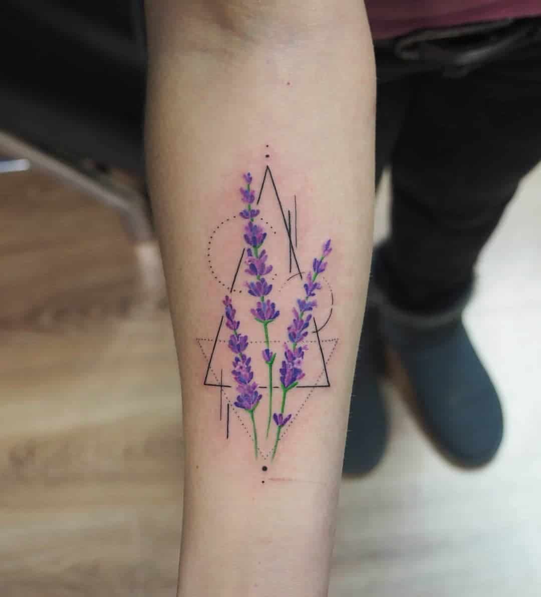 Triângulo e Lavanda