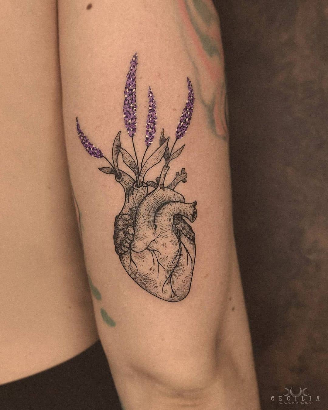 Lavanda no coração