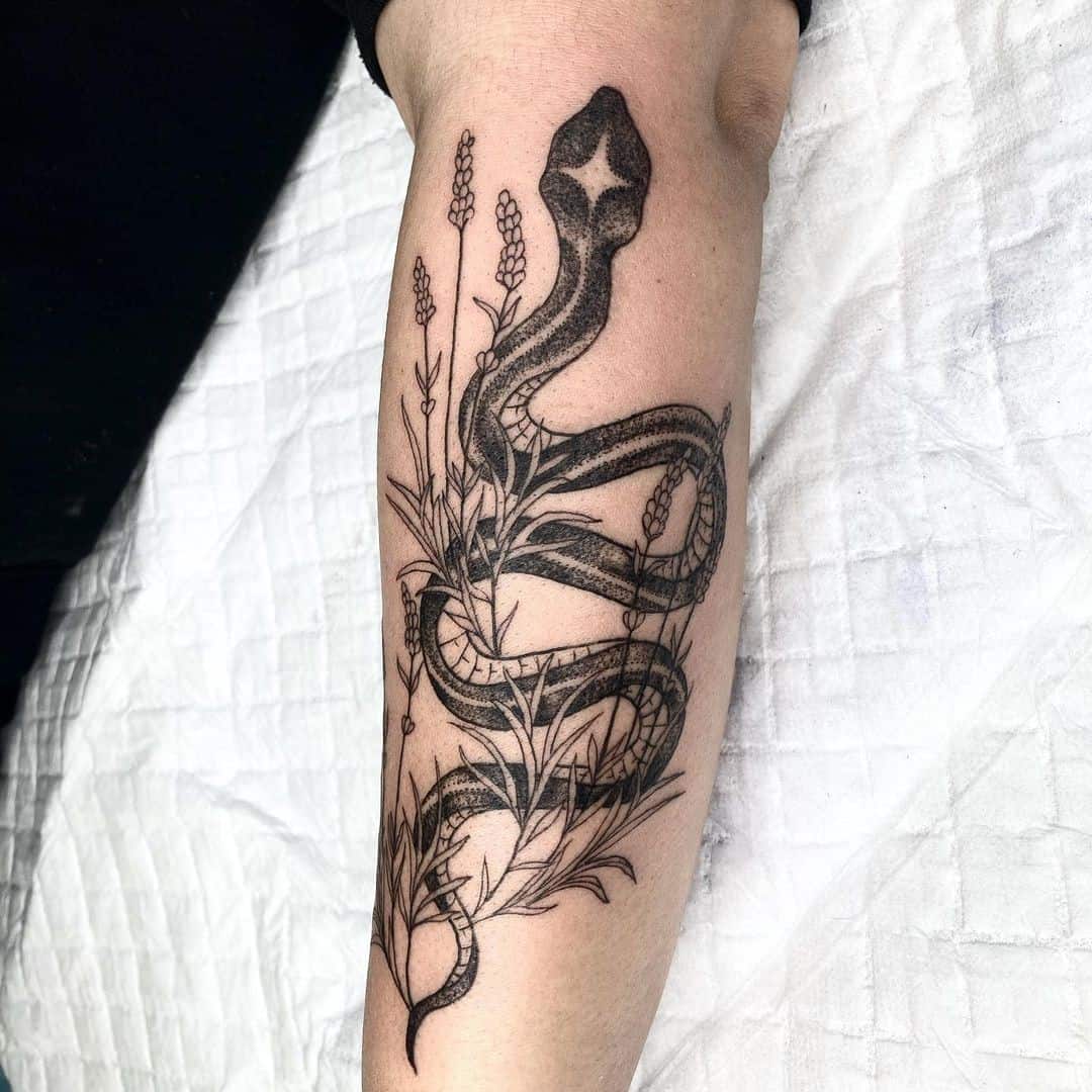 Lavanda negra e cobra