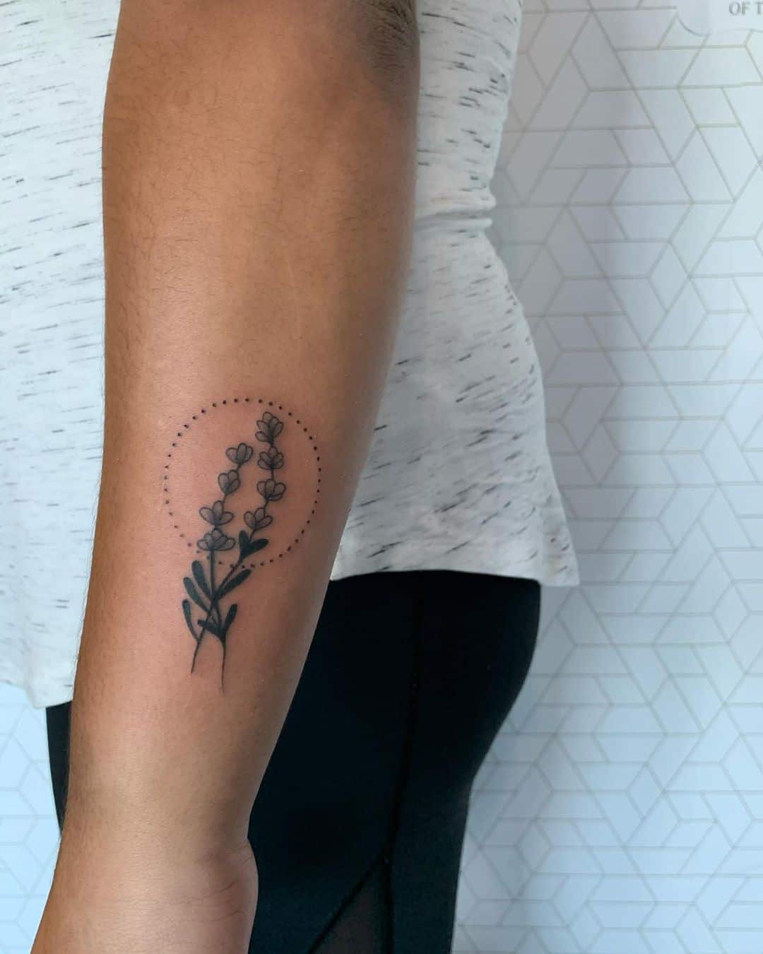 Dois lavanda e um círculo