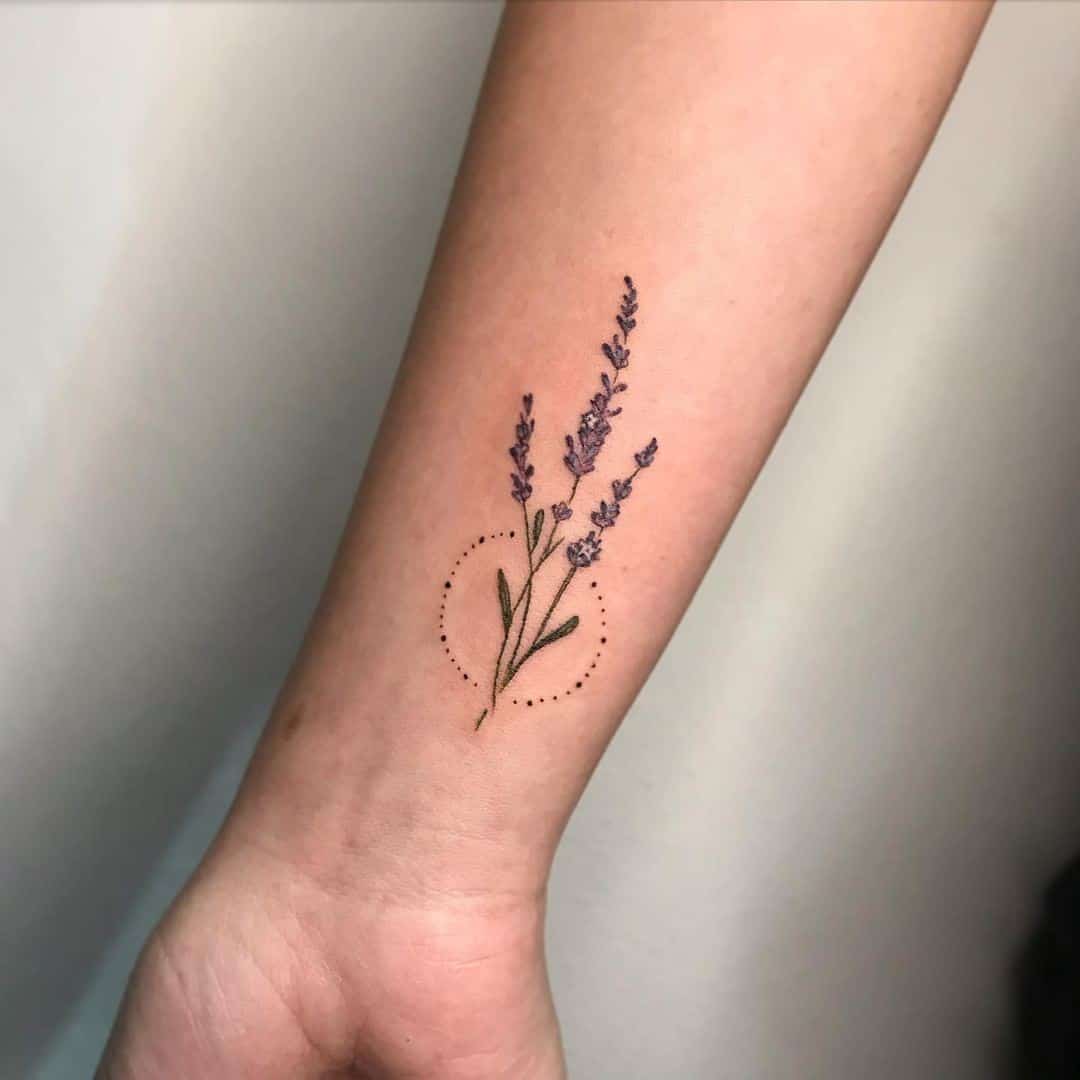 Lavanda no círculo