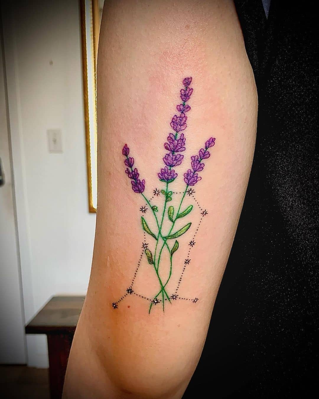 Lavanda roxa com pontos
