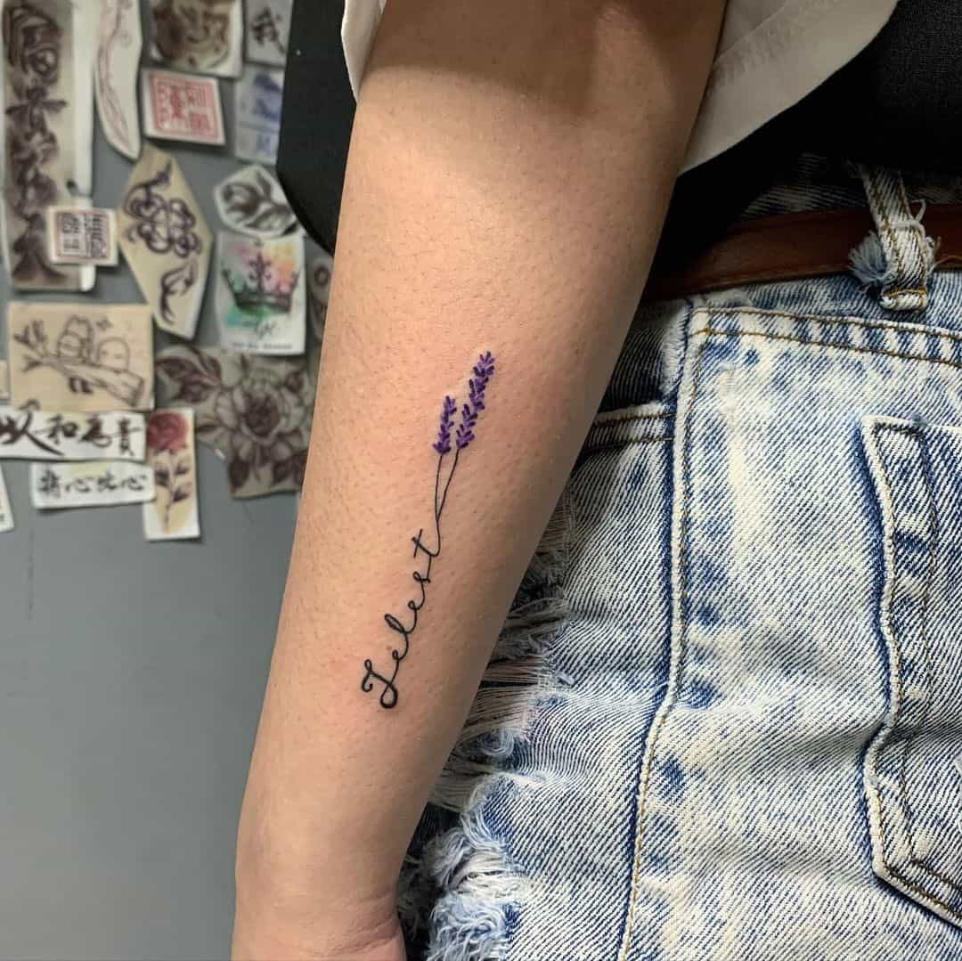 Lavanda sem folha