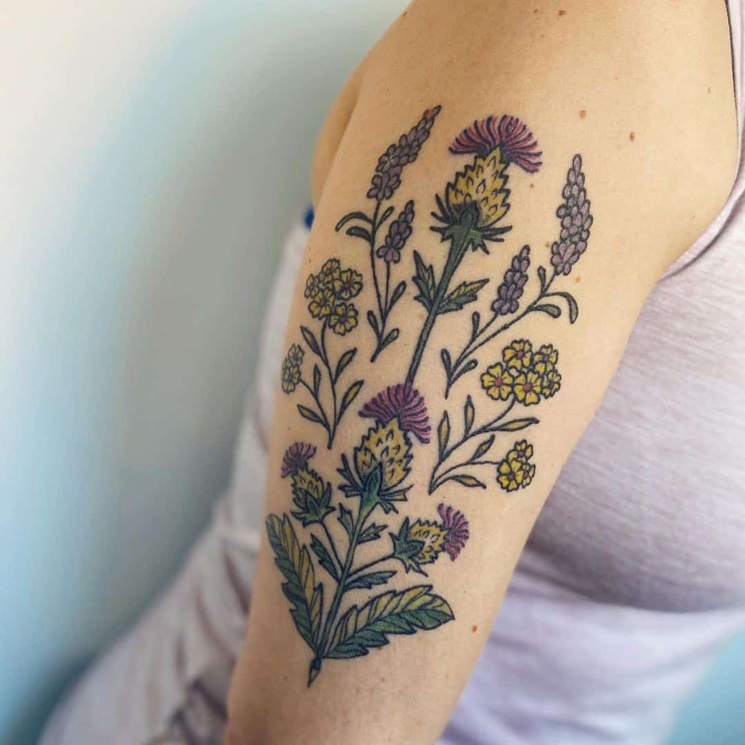 Duas alfazema e quatro flores