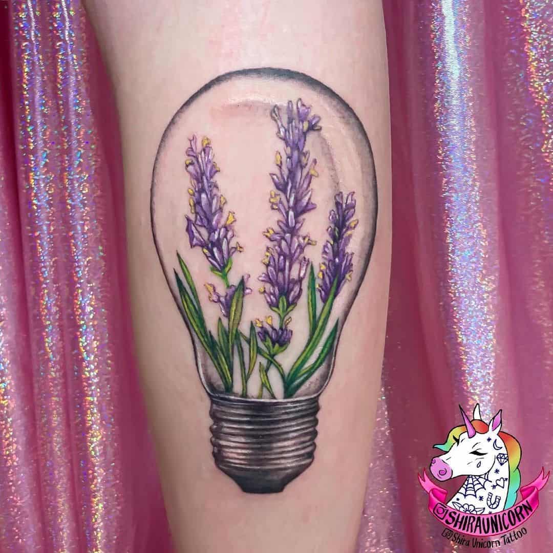 Lavanda no bulbo