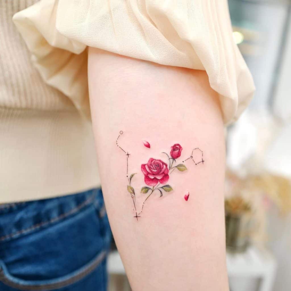 Le tatouage de la constellation 2