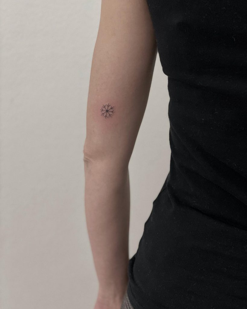 Les flocons de neige 1