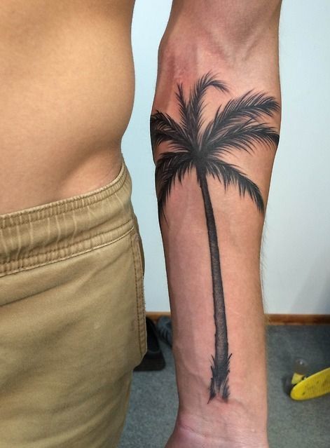 Palmės tatuiruotė ant vyro dilbio