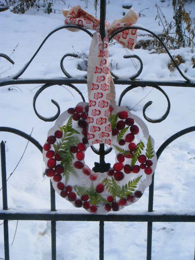 boabe roșii înghețate și frunze de ferigă în cununa de gheață Advent-decorațiuni-de-Crăciun-frunze-de-gheață-roșii-fructe-de-ferigă-afară