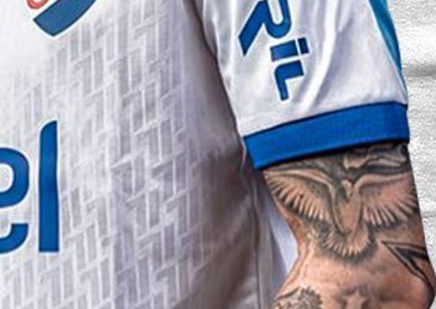 Tatuagem de pássaro andres