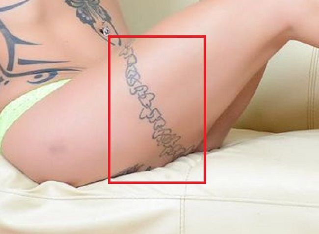 Anna Bell Peaks-stegno