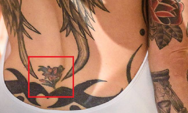 Spodnji del hrbta-Anna Bell Peaks