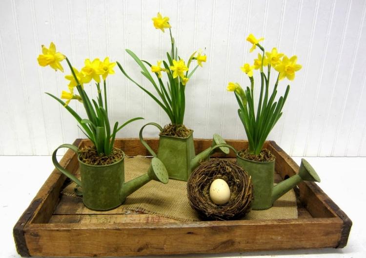 Plantați narcise în urzitoare Craft-ideas-Easter-2015-water-jugs-narcise-plantare