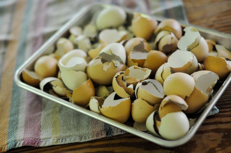 Artizanat cu coji de ouă sparte clipește cu coji de ouă bucăți rupte-folosește