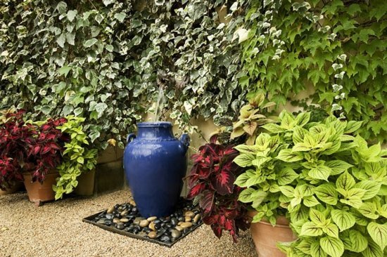 Urna fântână plantat gard