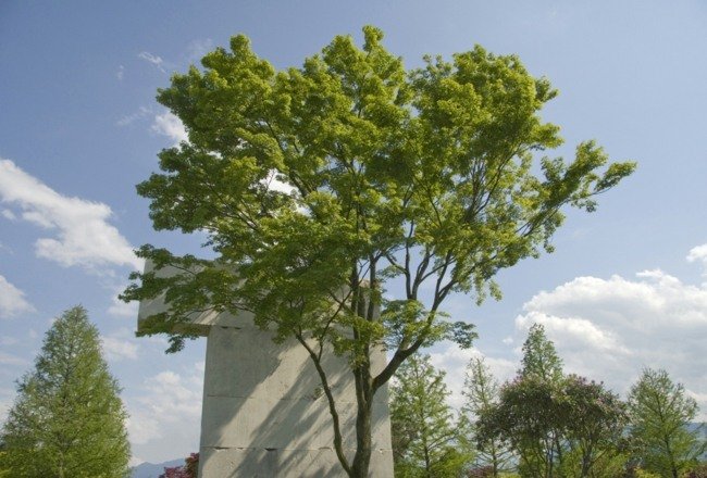 Sărbători copii Elveția vizitele parcului natural Idei de vizitare a parcului natural Elveția